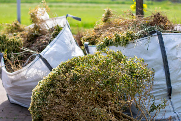 Best Junk Removal Near Me  in Loch Lomond, VA